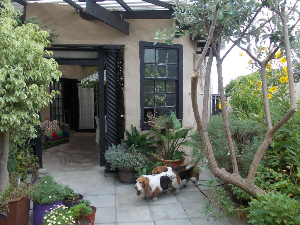 Villa Ocean Crest B&B Gansbaai Eksteriør bilde