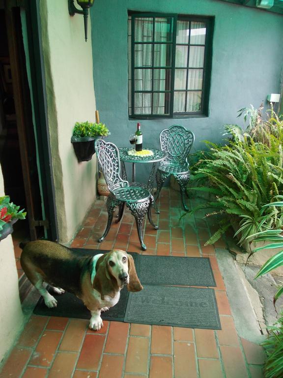 Villa Ocean Crest B&B Gansbaai Eksteriør bilde