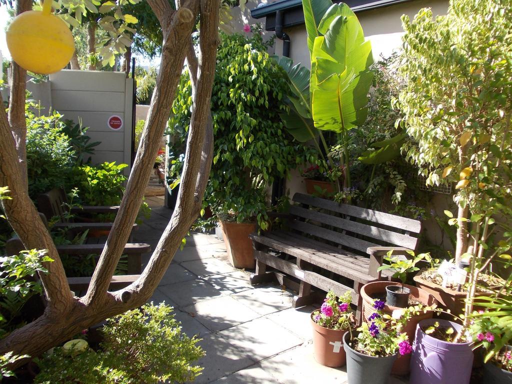 Villa Ocean Crest B&B Gansbaai Eksteriør bilde