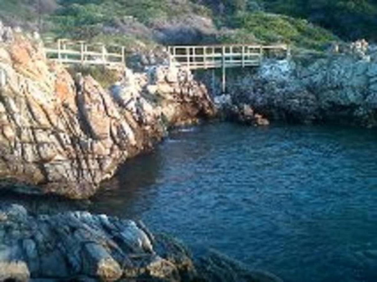 Villa Ocean Crest B&B Gansbaai Eksteriør bilde